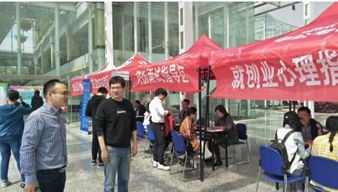 就业创业广场咨询服务圆满收官，为创业者点亮前行之路